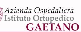 hotel vicino Istituto Ortopedico Gaetano Pini