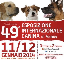 Esposizione internazionale Canina Milano
