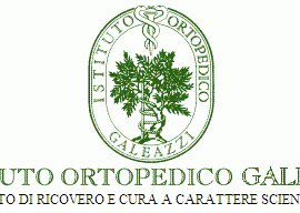 Hotel vicino Istituto Ortopedico Galeazzi Milano